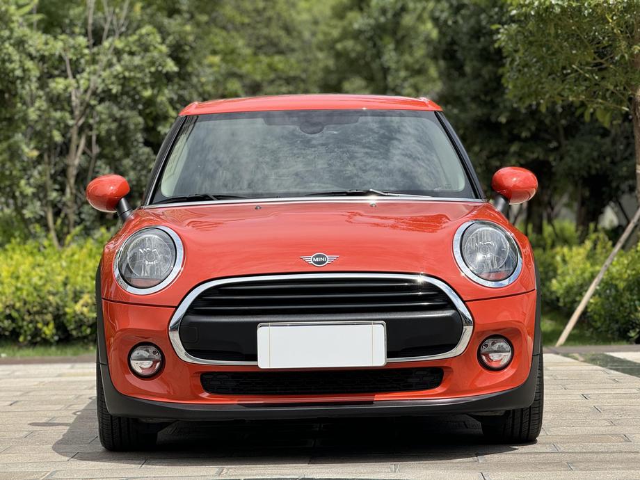 r217010-mini-2019_0