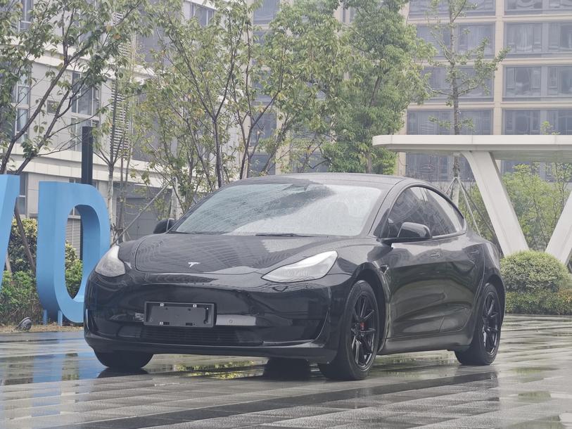 r217017-tesla20model203-2021_0