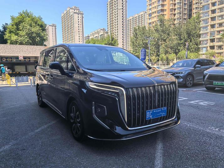 r217048-hongqi20hq9-2023_0