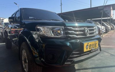 r217125-dongfeng-ruiqi-2021_0