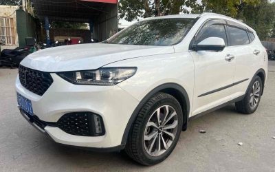 r217150-wey-vv6-2019_0