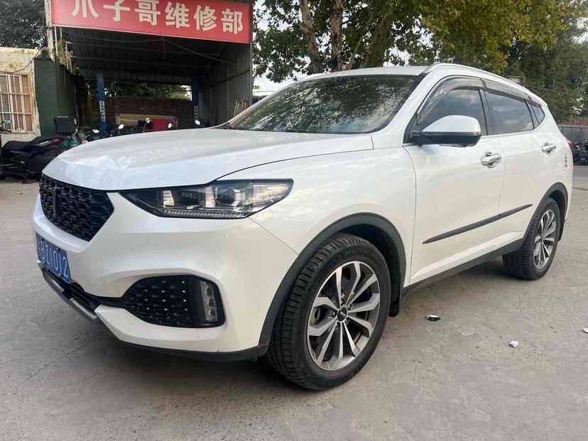 r217150-wey-vv6-2019_0