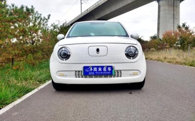 r217154-ora20black20cat-2019_0