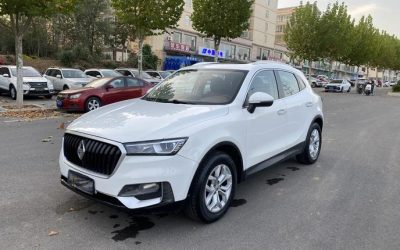 r217160-borgward-bx5-2019_0