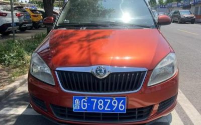 r217190-skoda-fabia-2013_0
