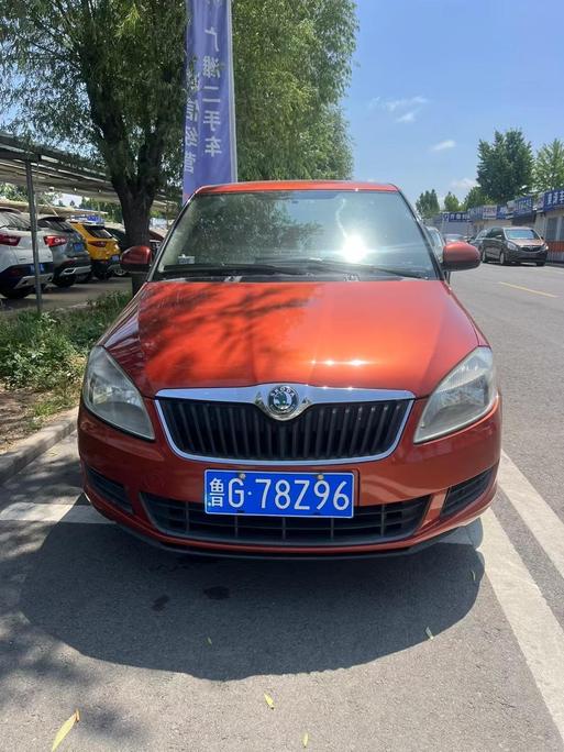 r217190-skoda-fabia-2013_0