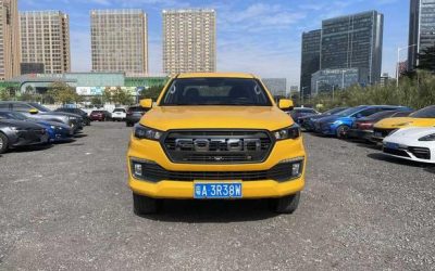r217209-foton-grand-general-g9-2021_0