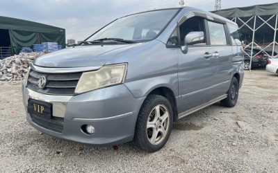 r217237-dongfeng20succe-2010_0