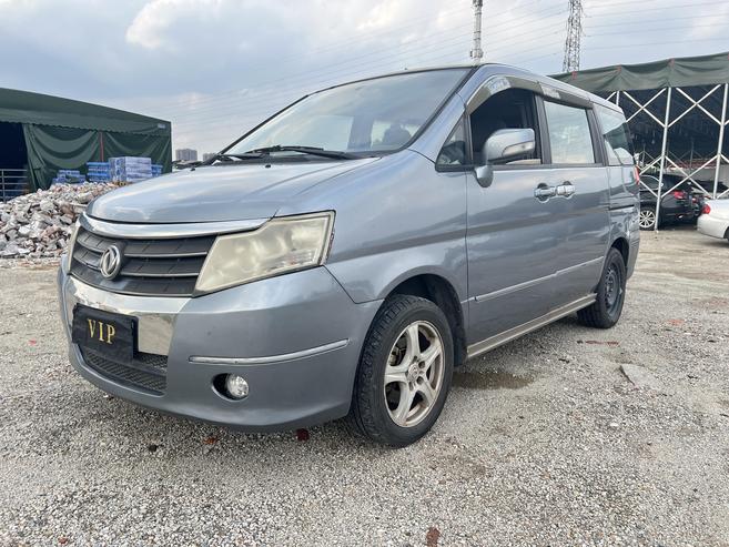 r217237-dongfeng20succe-2010_0