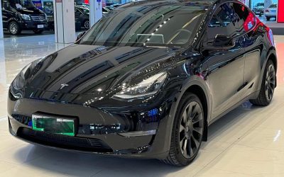 r217301-tesla-model-y-2023_0