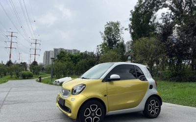 r217426-smart-fortwo-2017_0