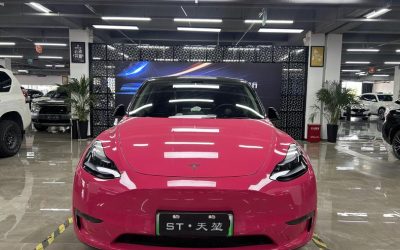 r217435-tesla-model-y-2023_0