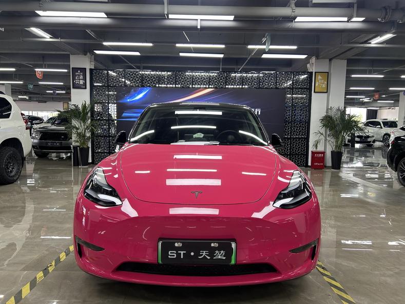 r217435-tesla-model-y-2023_0