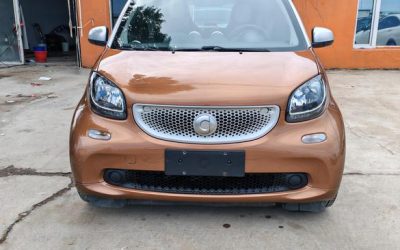 r217450-smart-fortwo-2016_0