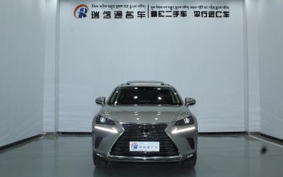 r217483-lexus-nx-2020_0