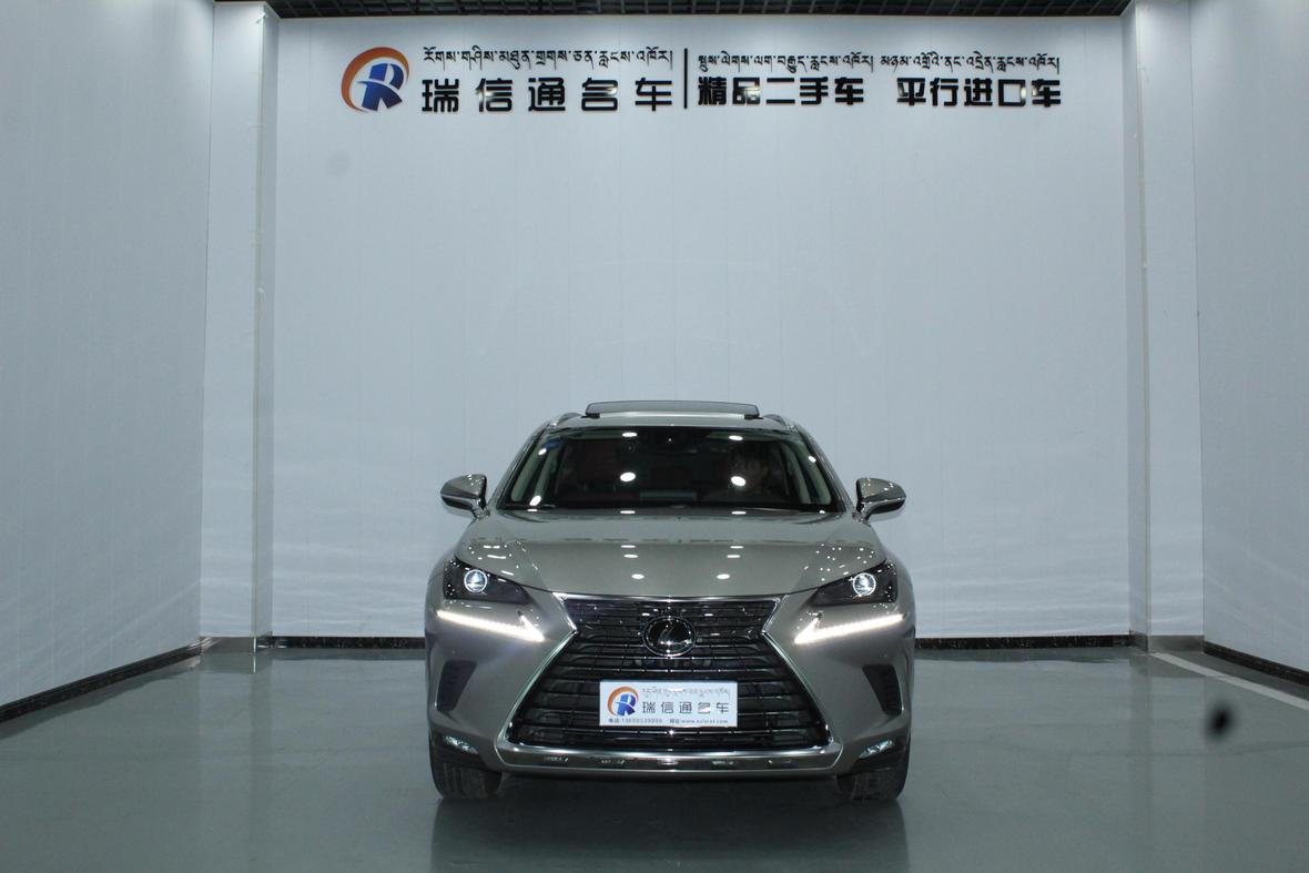 r217483-lexus-nx-2020_0