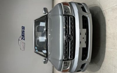 r217578-dongfeng-ruiqi-2017_0