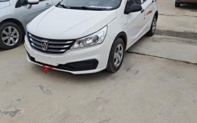 r217933-baojun-310-2021_0