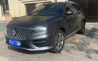r218024-borgward-bx7-2019_0