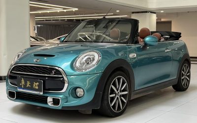 r218969-mini-2017_0