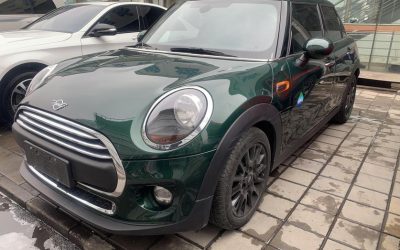 r219096-mini-2019_0