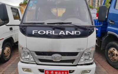 r219398-foton-view-2017_0