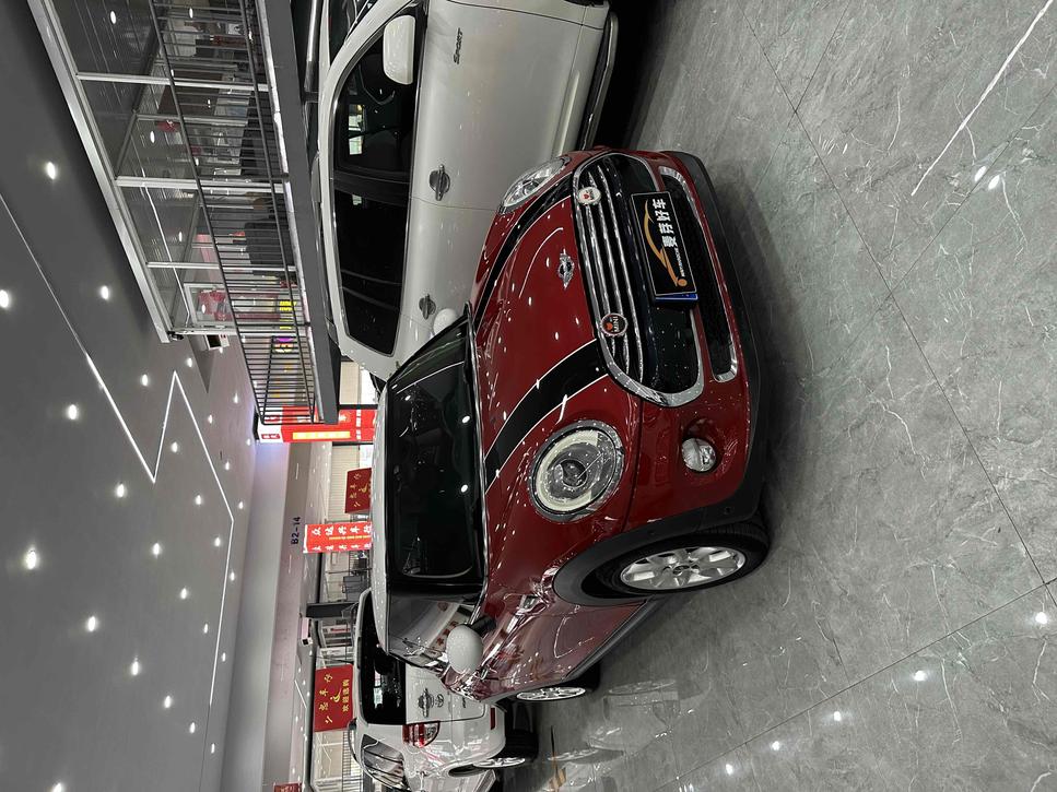 r219779-mini-2015_0
