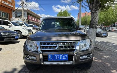 r219830-mitsubishi-pajero-2010_0