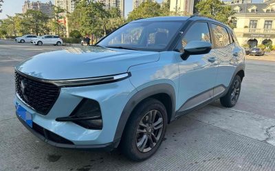 r1013285-baojun-rs-3-2020_0