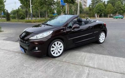 r1013622-peugeot-207-2013_0