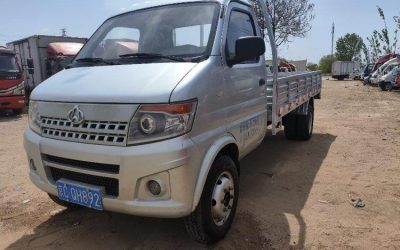 r204209-shenqi-t20-2019_1