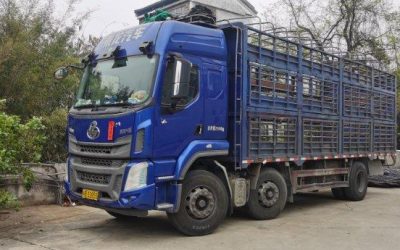 r204650-chenglong-h5-2019_1