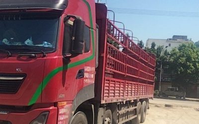 r205444-dongfeng-tianlong-kl-2021_1