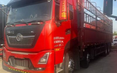 r205478-dongfeng-tianlong-kl-2020_1