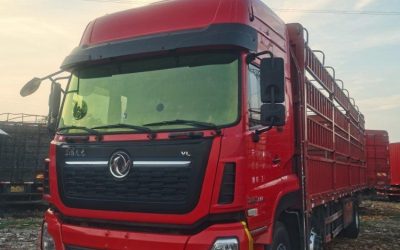 r205581-dongfeng-tianlong-vl-2021_1