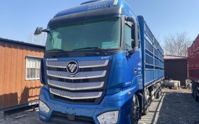 r207810-foton-auman-est-2022_1