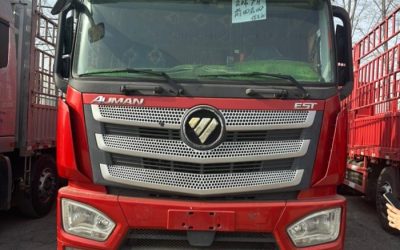 r207818-foton-auman-est-2020_1