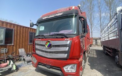 r207863-foton-auman-est-2020_1