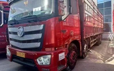 r207948-foton-auman-est-2018_1