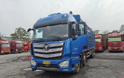 r207952-foton-auman-est-2021_1
