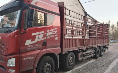 r208721-jiefang-jh6-2020_1