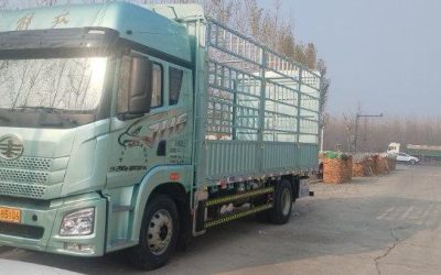 r208727-jiefang-jh6-2024_1