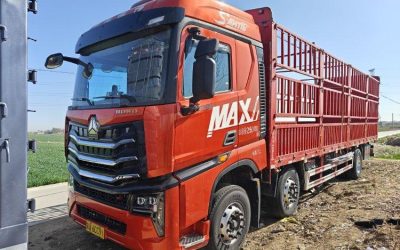 r212536-howo-max-2024_1