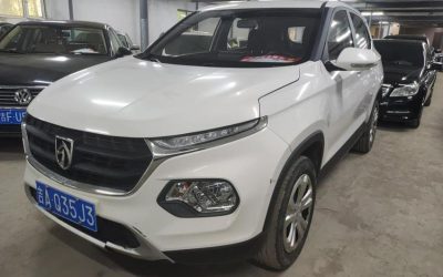 r217690-baojun-510-2019_0