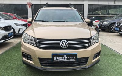 r217735-volkswagen-tiguan-2011_0