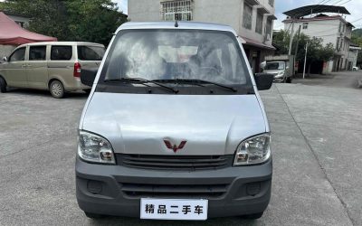 r217757-wuling-sunshine-2019_0