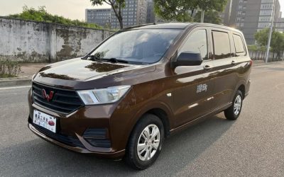 r217774-wuling-hongguang-2020_0