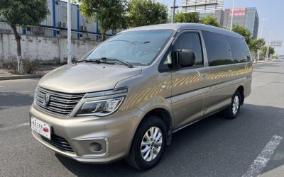 r217948-dongfeng-forthing-lingzhi-2020_0