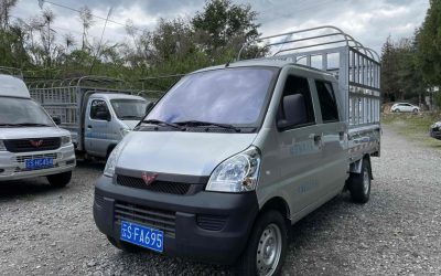 r218500-wuling-rongguang-light-truck-2019_r218500-wuling-rongguang-light-truck-2019_0