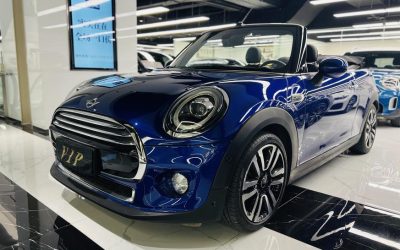 r218860-mini-2019_0